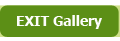 EXIT Gallery Button