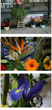 FlowerShop Group